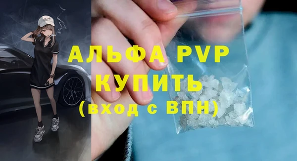 сатива Арсеньев
