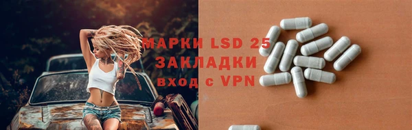 сатива Арсеньев
