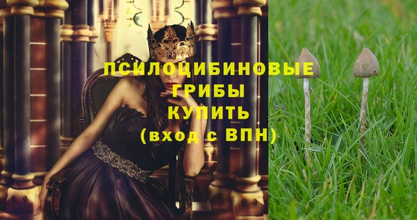 сатива Арсеньев