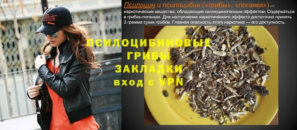 сатива Арсеньев