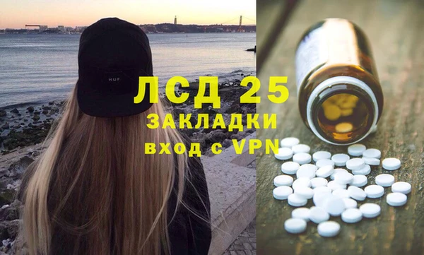 шишки Армянск