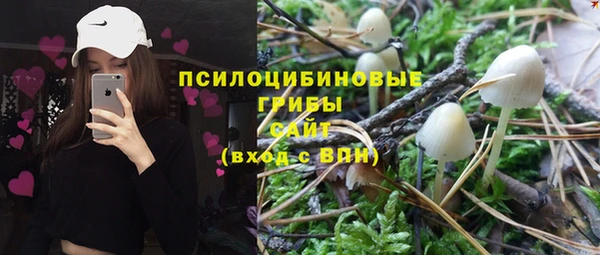 сатива Арсеньев