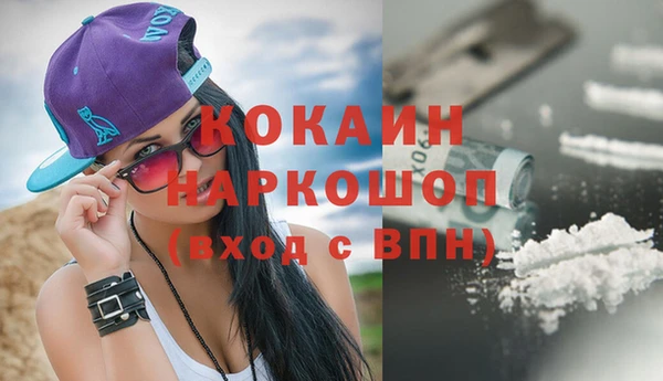 шишки Армянск