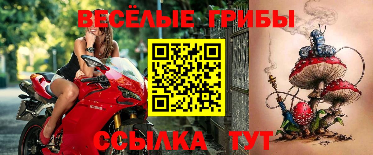 Галлюциногенные грибы Psilocybine cubensis Белорецк